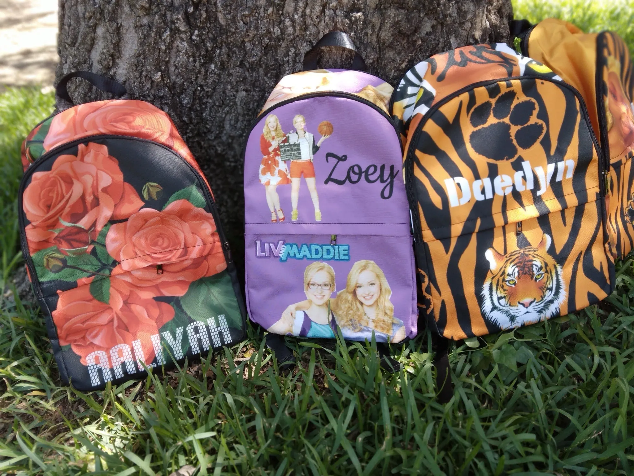 Custom Backpack DS