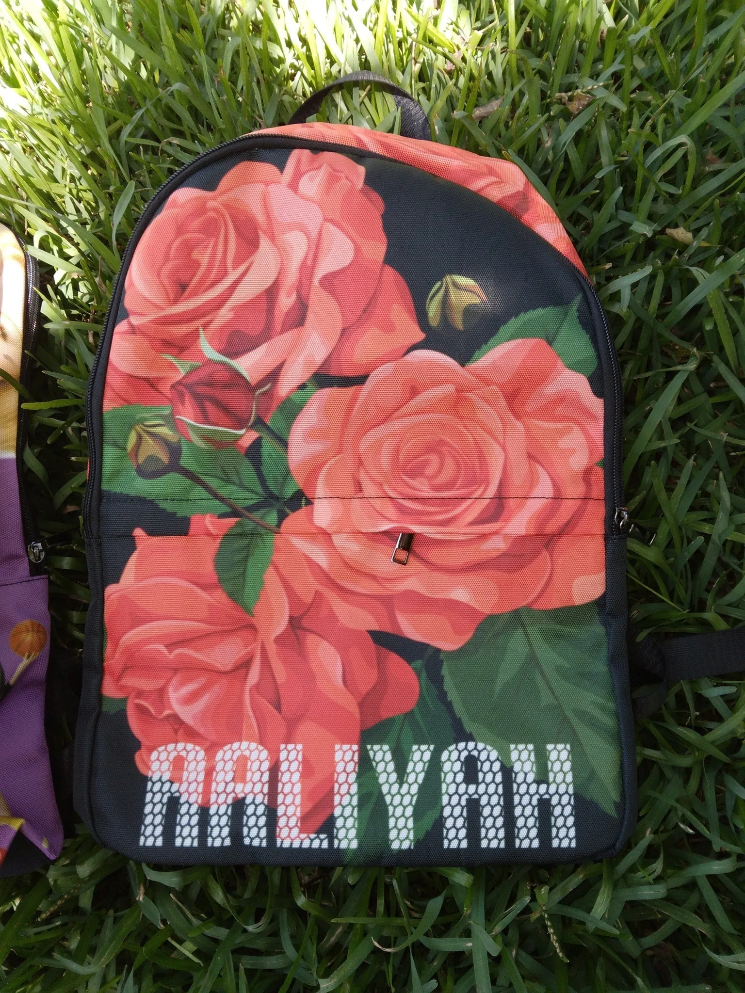 Custom Backpack DS