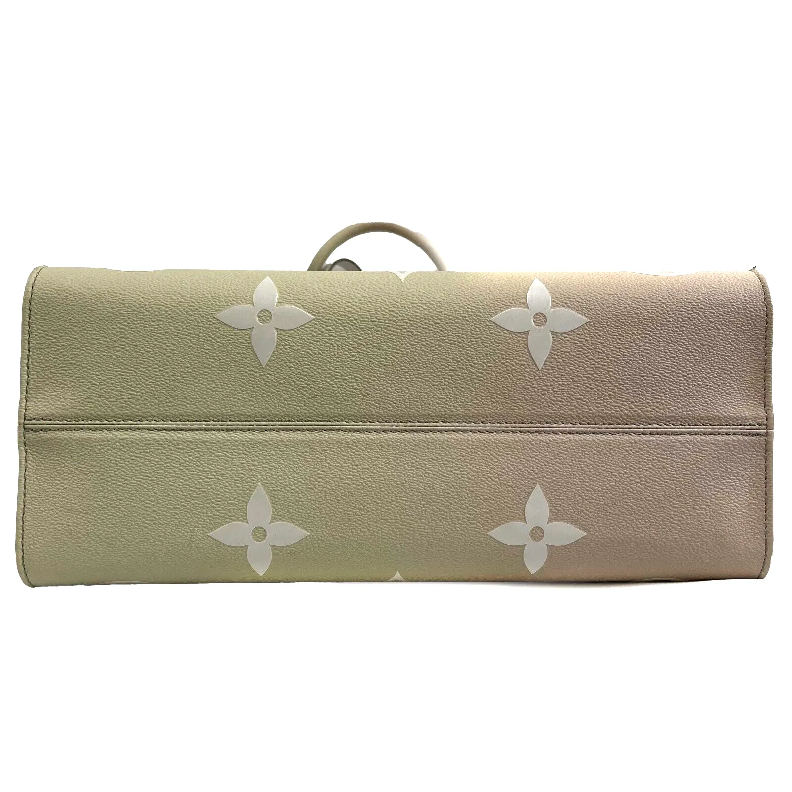 Louis Vuitton Giant Spring In The City OnTheGo MM