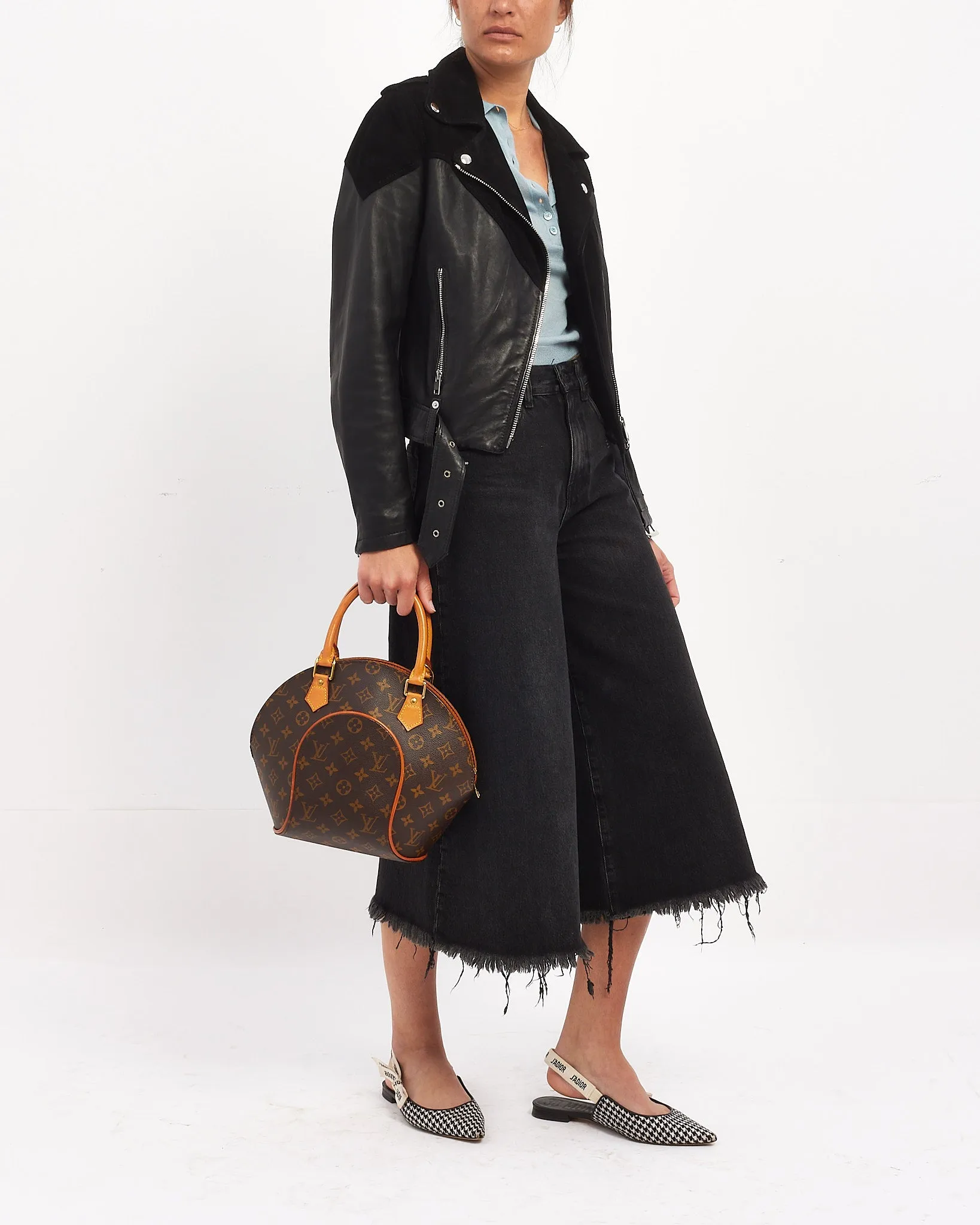 Louis Vuitton Monogram Canvas Ellipse PM Bag