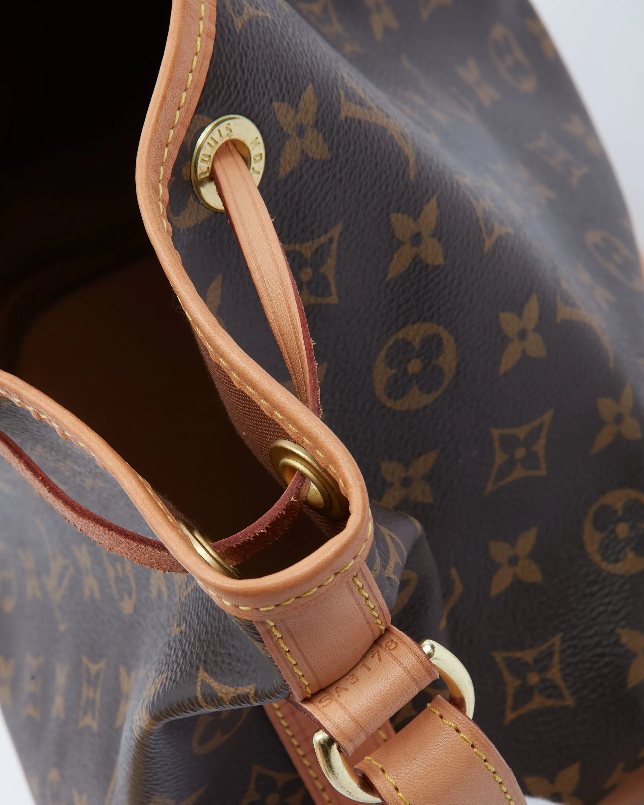 Louis Vuitton Monogram Canvas Petit Noe Bucket Bag