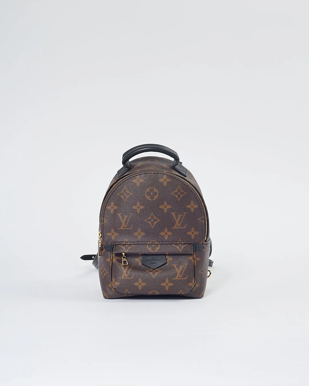 Louis Vuitton Monogram Mini Palm Springs Backpack