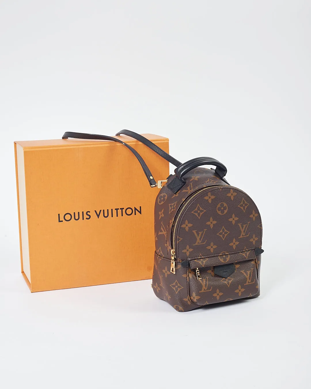 Louis Vuitton Monogram Mini Palm Springs Backpack