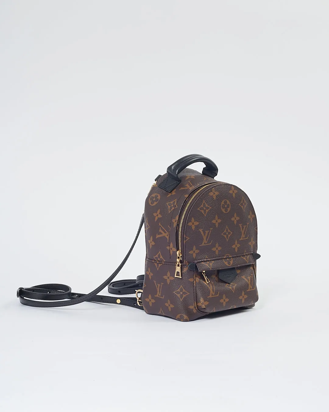 Louis Vuitton Monogram Mini Palm Springs Backpack